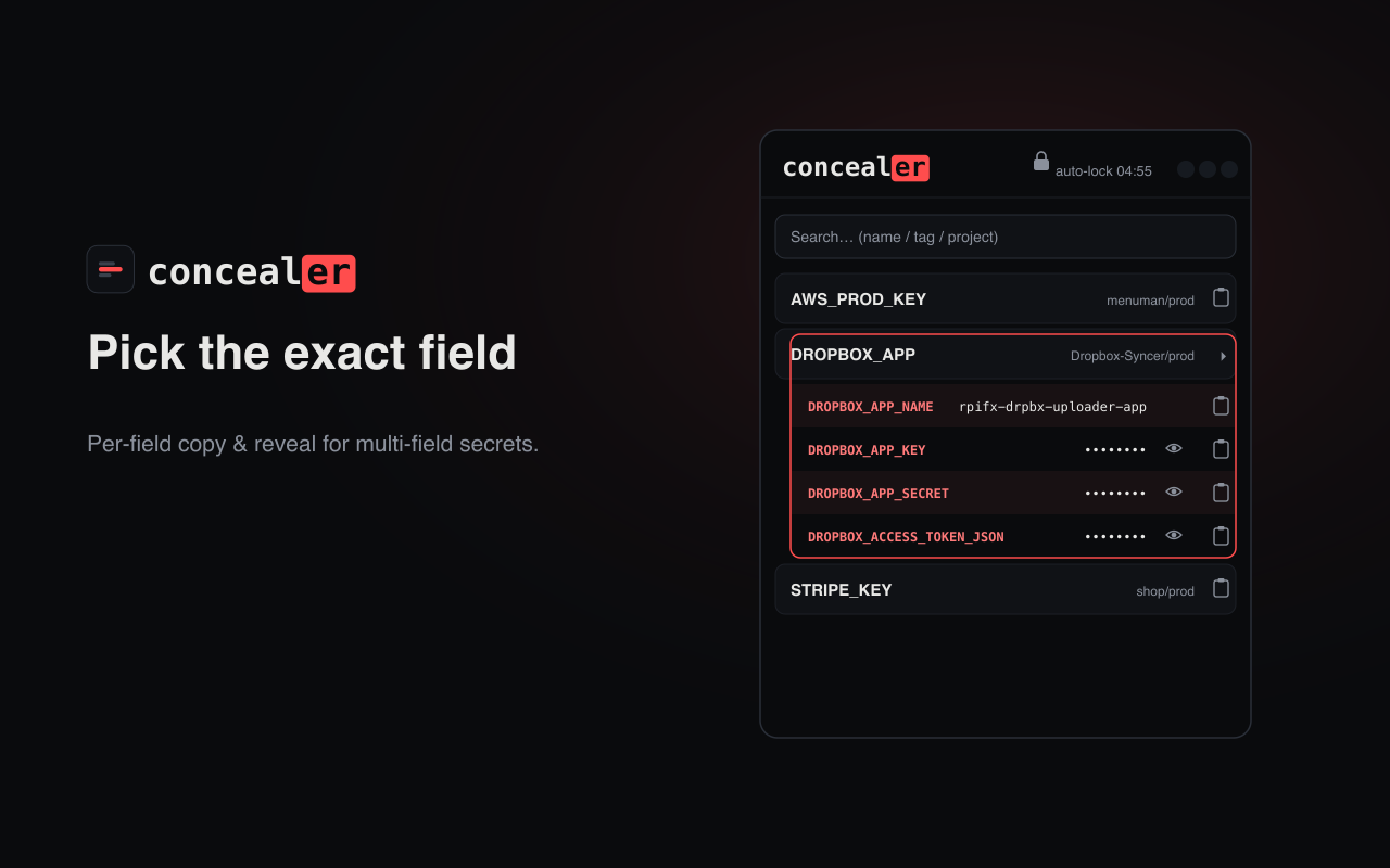 concealer popup — per-field copy